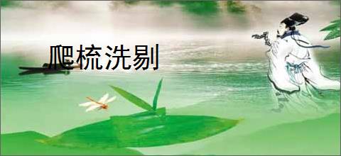 爬梳洗剔