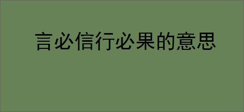 言必信行必果的意思
