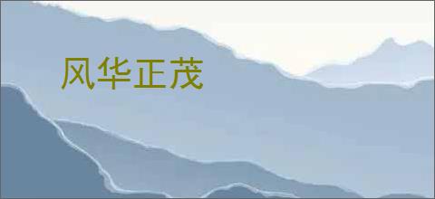 风华正茂