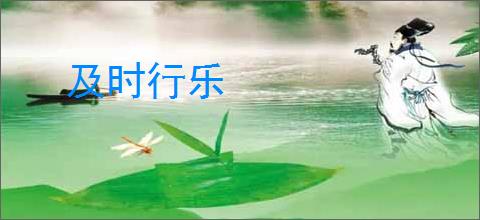 及时行乐