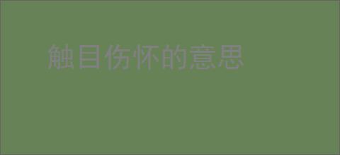 触目伤怀的意思