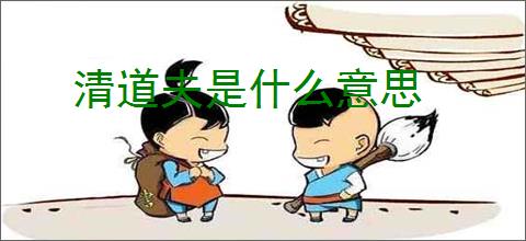 清道夫是什么意思