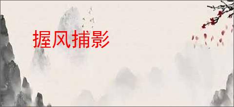 握风捕影
