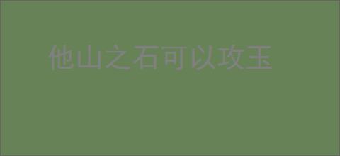 他山之石可以攻玉