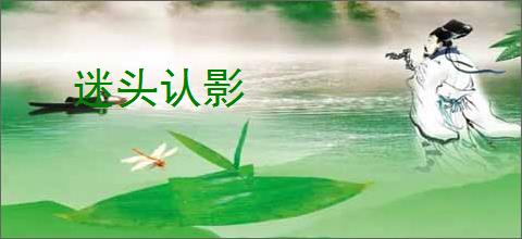 迷头认影