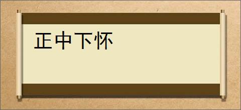 正中下怀