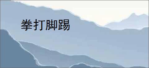 拳打脚踢