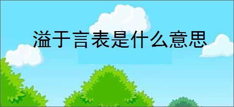 溢于言表是什么意思