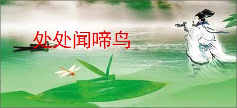处处闻啼鸟