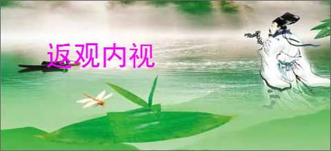 返观内视