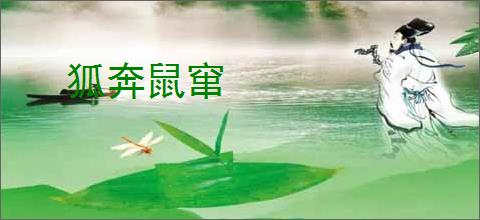 狐奔鼠窜