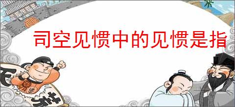 司空见惯中的见惯是指