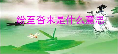 纷至沓来是什么意思