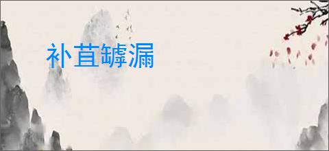 补苴罅漏