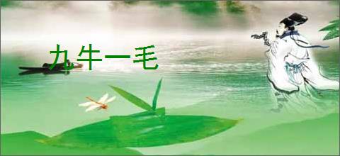 九牛一毛