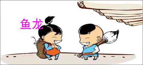 鱼龙