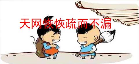 天网恢恢疏而不漏
