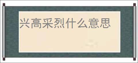 兴高采烈什么意思