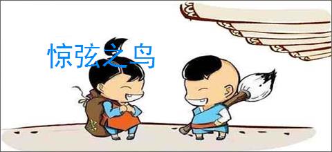 惊弦之鸟
