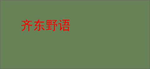 齐东野语