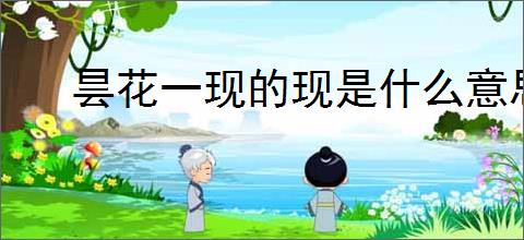 昙花一现的现是什么意思