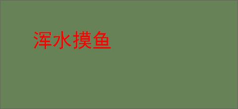 浑水摸鱼