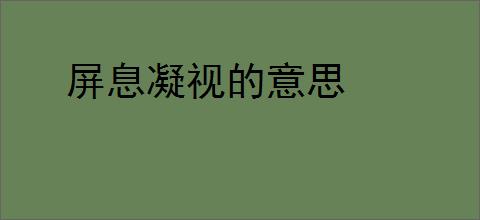 屏息凝视的意思