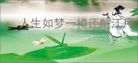人生如梦一樽还酹江月