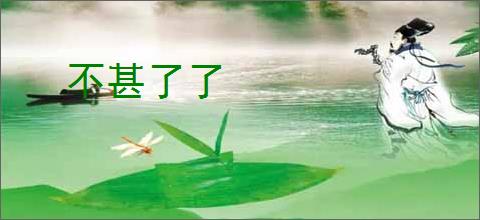 不甚了了