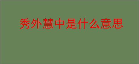 秀外慧中是什么意思