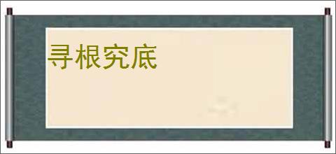 寻根究底