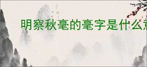 明察秋毫的毫字是什么意思