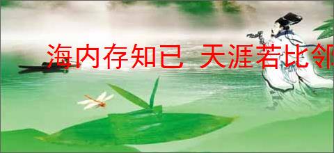 海内存知已 天涯若比邻
