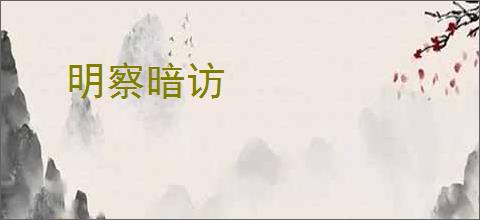 明察暗访