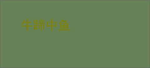 牛蹄中鱼