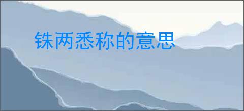 铢两悉称的意思