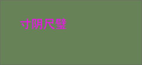 寸阴尺璧