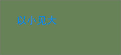 以小见大