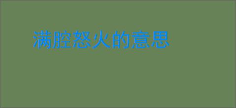 满腔怒火的意思