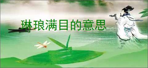 琳琅满目的意思