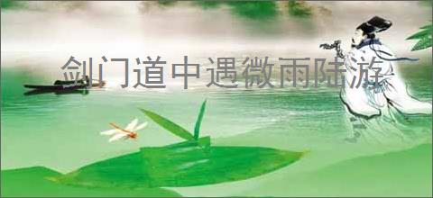 剑门道中遇微雨陆游