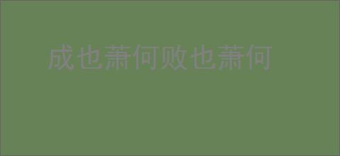 成也萧何败也萧何