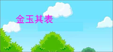 金玉其表