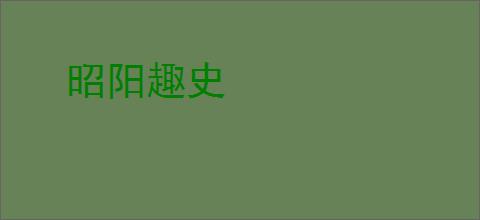 昭阳趣史