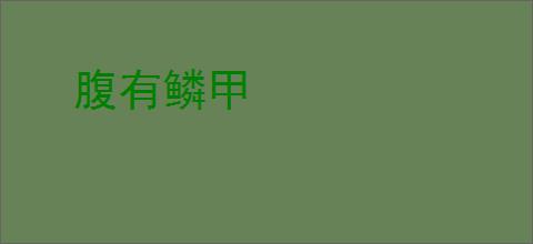 腹有鳞甲