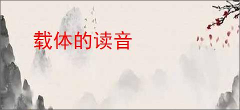 载体的读音