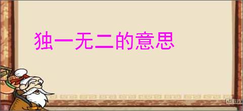 独一无二的意思