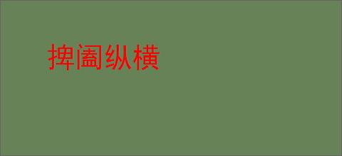 捭阖纵横
