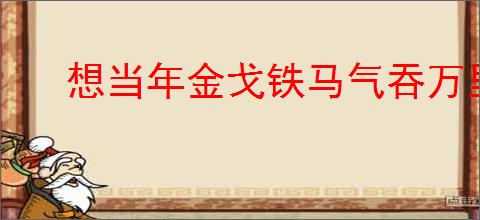 想当年金戈铁马气吞万里如虎