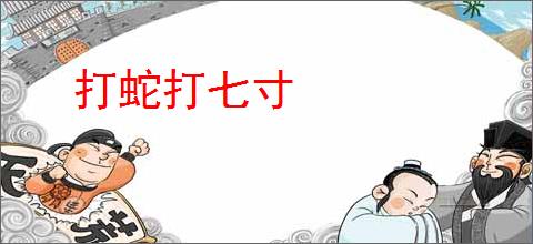 打蛇打七寸